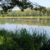 1609F 072 Spree und Havel